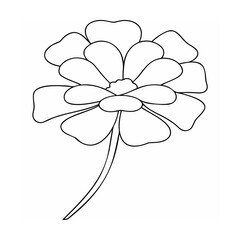 Delicate flower bloom with layered petals floral botanical