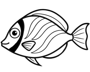 fish vector illustration