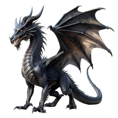 Majestic Black Dragon