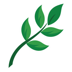 Fototapeta premium transparentpngavailableleafvineisolateontra