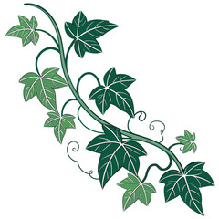 transparentpngavailableleafvineisolateontra