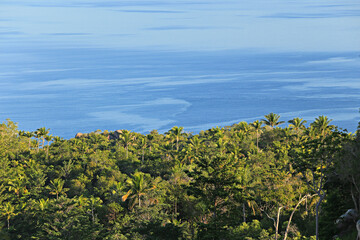 The perfection of nature and forests on the top of Koh Tao, a famous tourist attraction in Surat Thani Province, Thailand