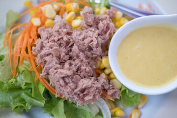 Vegetable salad with tuna fish served with salad dressing.