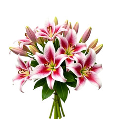 Beautiful Pink Lilies Bouquet &ndash; Perfect for Gifts and Celebrations