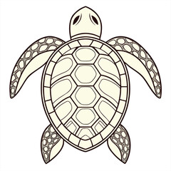 Fototapeta premium Turtle with patterned shell seamless style.