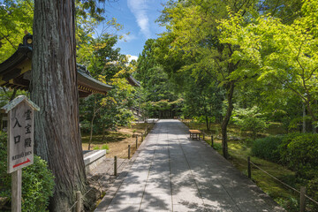 京都 広隆寺 夏の参道風景