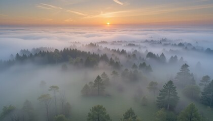 Obraz premium An autumnal mountain sunrise reflecting on a foggy lake, casting a view of the forest and trees under a cloudy sky
