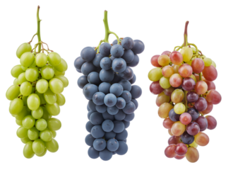 Green blue red grapes on black isolated on a transparent background fruit