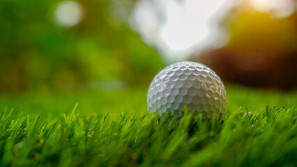 Golf ball on green grass in the evening golf course with sunshine background.
