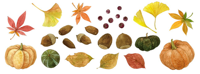 秋の実り水彩画セット Illustration Set: Autumn Nature Elements © URU