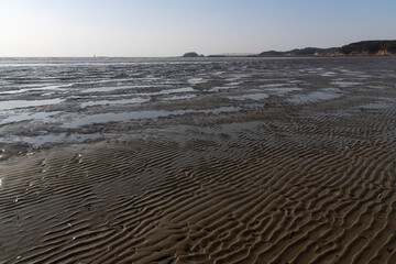 view of the wet beach