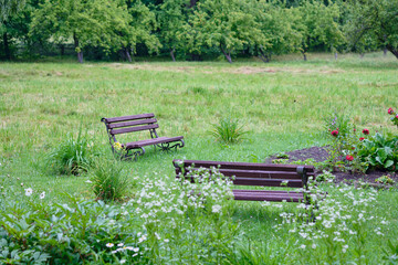 Serene park with benches surrounded by lush green grass and blooming flowers on a rainy day