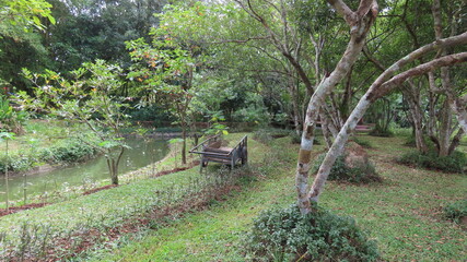 Beautiful nature in the botanical garden in Siem Reap, Cambodia in November