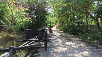 Obraz premium Beautiful nature in the botanical garden in Siem Reap, Cambodia in November