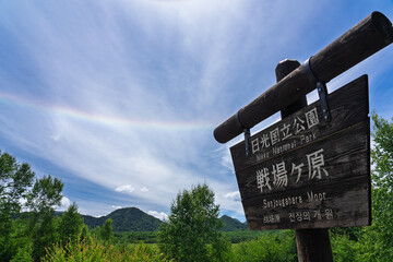 夏の戦場ヶ原で見るハロ（日暈） 栃木県日光市