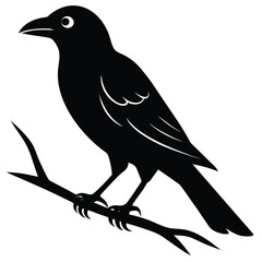 black crow on branch vector icon