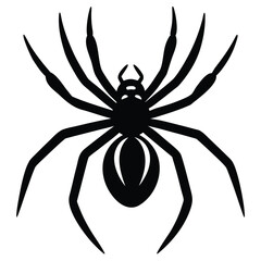 black widow spider vector icon