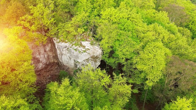 Dense trees surrounding high cliff - Powered by Adobe