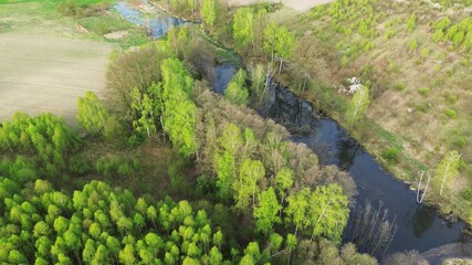 Aerial photo of natural forest landscape
