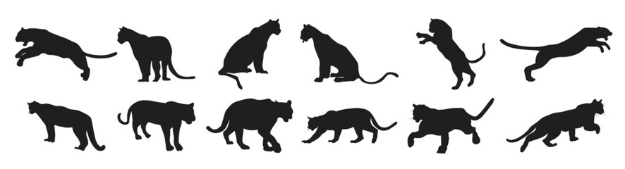  set puma silhouette vector illustration