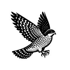 Fototapeta premium A falcon in midflight with wings spread wide