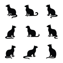 Silhouette Illustration Of Various Camel Breeds Walking Across A White Desert Like Background