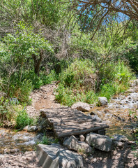Small wooden footbridge over mountain stream on forest trail