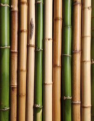 Close-up of natural bamboo stalks