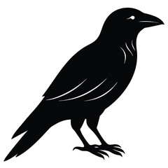 raven silhouette vector icon