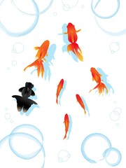 Fototapeta premium 水彩風の金魚のイラスト