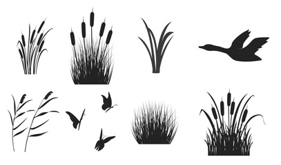 silhouette of reeds with grass and thickets black shadow