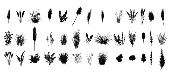 silhouettes of wild grass tufts isolated for a dynamic 