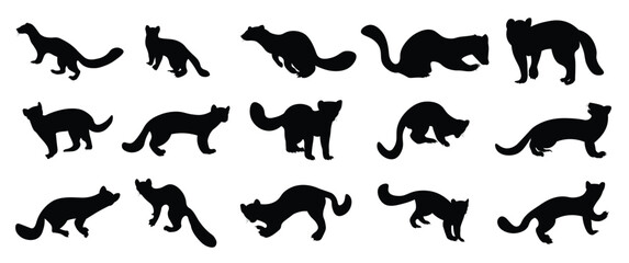 vector illustration of silhouettes of pine marten animal set 