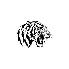 white tiger head