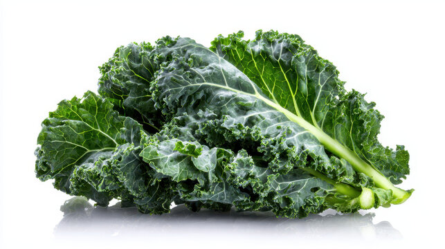 Fresh kale looks vibrant and alive, full of crisp texture and natural color, promising nourishment and vitality