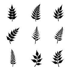 Nine Stylized Black Fern Leaf Silhouettes Arranged On A Clean White Background Creating Contrast