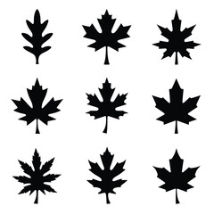 Nine Different Silhouettes Of Leaf Variations In Black Displayed On A White Seamless Background