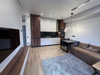 Stylish Open-Plan Kitchen and Living Space in Modern Apartment