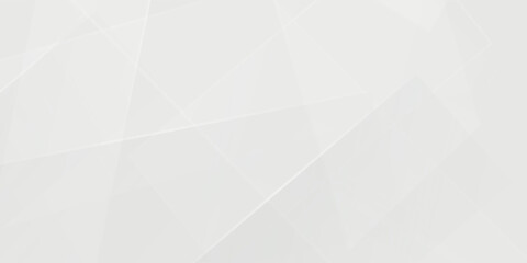 Abstract white and gray background. smooth abstract background, blurred pattern good simple texture modern