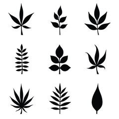 A Collection Of Nine Agave Leaf Illustrations Presented In A Minimalist Black Silhouette Design