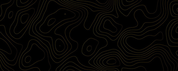 Black background with gold contour lines abstract