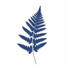 Elegant Blue Fern Frond Silhouette Against a Clean, Minimalist Background