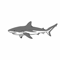 Naklejka premium Cartoon Illustration of a Great White Shark Swimming Gracefully in the Ocean