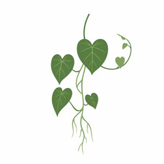 Delicate Green Vine with Heart-Shaped Leaves and Tendrils, Detailed Illustration