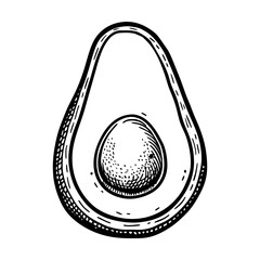 Avocado black and white illustration