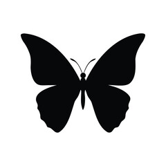 Symmetrical black butterfly silhouette with detailed wings on white background, isolated