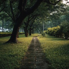 Obraz premium Neat city park with a serene walking path surrounded by greenery.