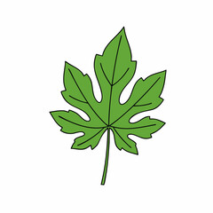 Vibrant Green Leaf with Intricate Veins