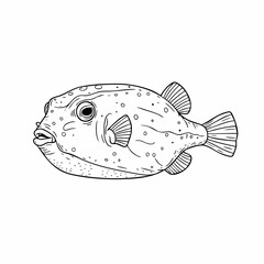 Obraz premium Detailed Line Art Illustration of a Pufferfish