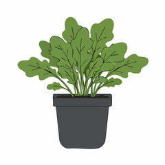 Obraz premium Detailed Illustration of a Potted Plant with Lush Green Leaves